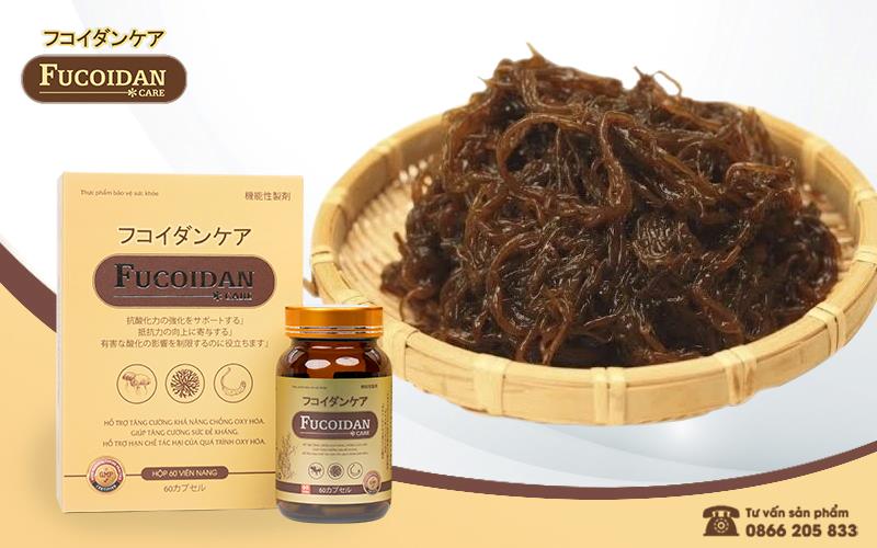 Fucoidan tinh khiết – Bí quyết chăm sóc sức khỏe của người Nhật